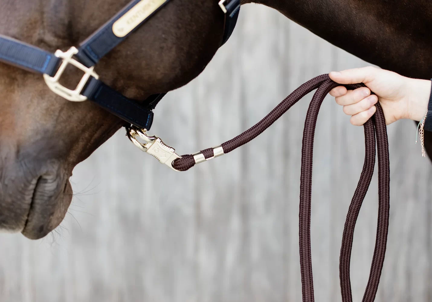 56d4c470c66a4095968ecea49ecc17296257fb14cd01a938ebd0e901fbefd095